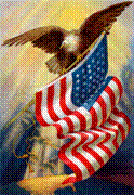 US flag with eagle